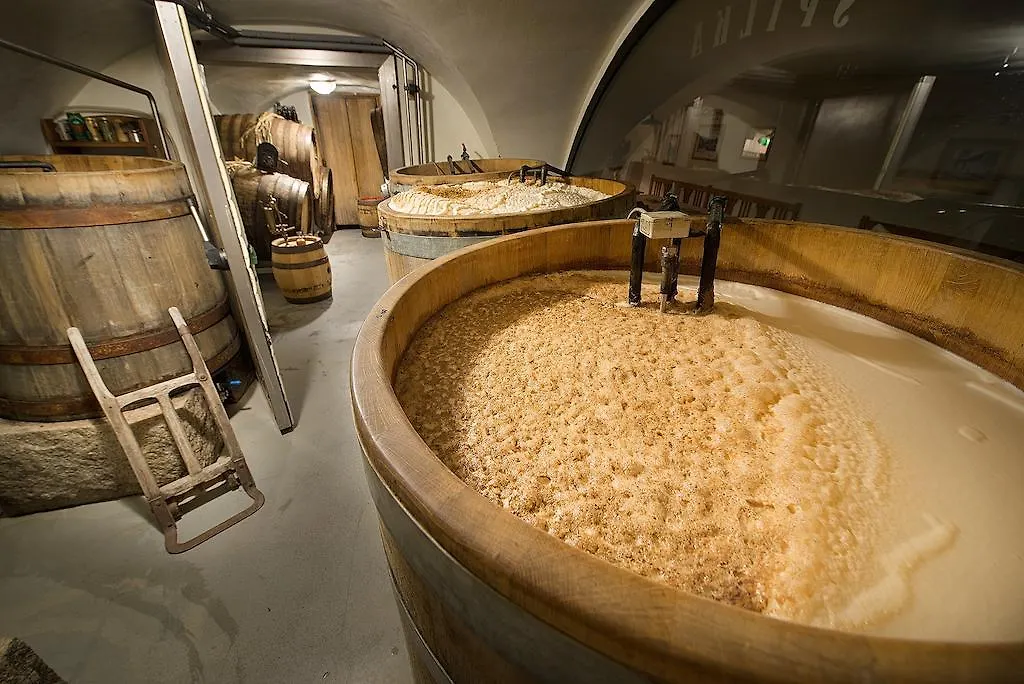 U Medvidku-Brewery Hotel Prague