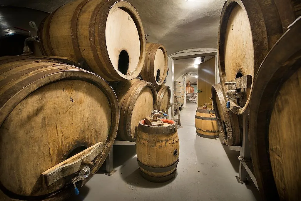 U Medvidku-Brewery Hotel Prague